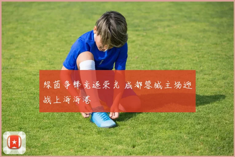绿茵争锋竞逐荣光 成都蓉城主场迎战上海海港